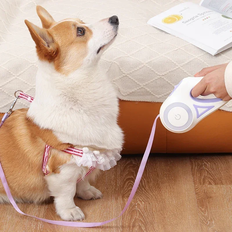 LED Luminous Dog Leash Automatic Retractable Leash for Medium Dogs Outdoor Small Pet Traction Rope Dog Accessories Pet Supplies - Image 5