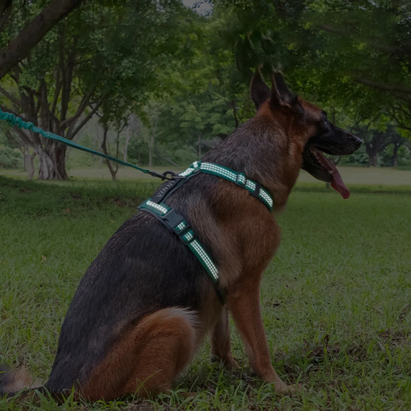 Comfortable Adjustable H-Shaped Large Dog Harness Washable Nylon Nighttime Reflective No Pull Pet Vest Harness Arnés Para Perros - Image 4