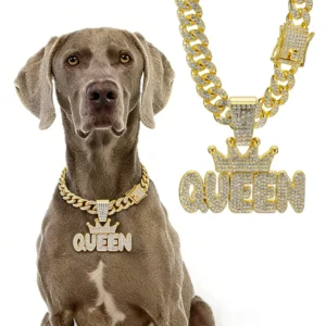 Gold Dog Chain Luxury Pendant Dog Collar Walking Metal with Design Buckle Pet Necklace Jewelry Accessories for Medium Large Dogs