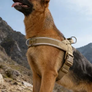 Big Dog Harness Accessories Dogs Pets Pet Products Tactical Vest Collar for Cats Chest Small Leash Supplies Things Puppy Collars