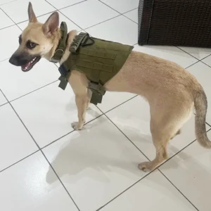 Dog Harness Collar Set Adjustable Tactical Dog Vest Harness And Durable Nylon Dog Collar Combo For Small Medium Large Dogs Outdoor Walking Training